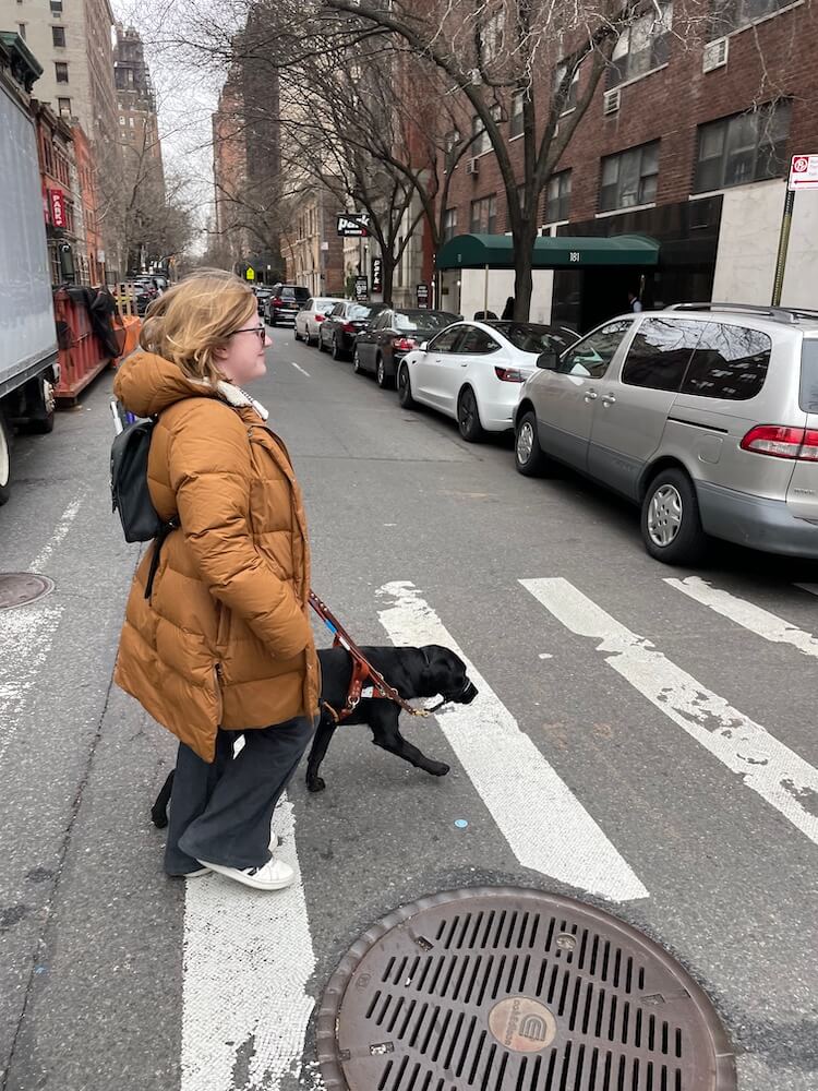 Black Lab guide Holly leads Emma through a city crosswalk