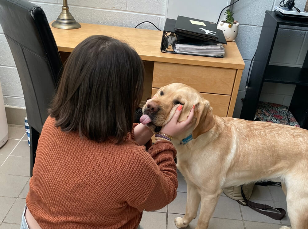 Jake puts out a tongue to lick raiser Kat as she lovingly holds his face