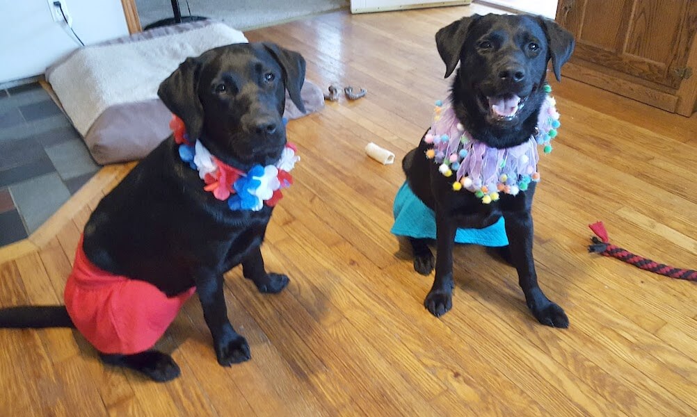 Acadia (R) sits accessorized with sister Alani