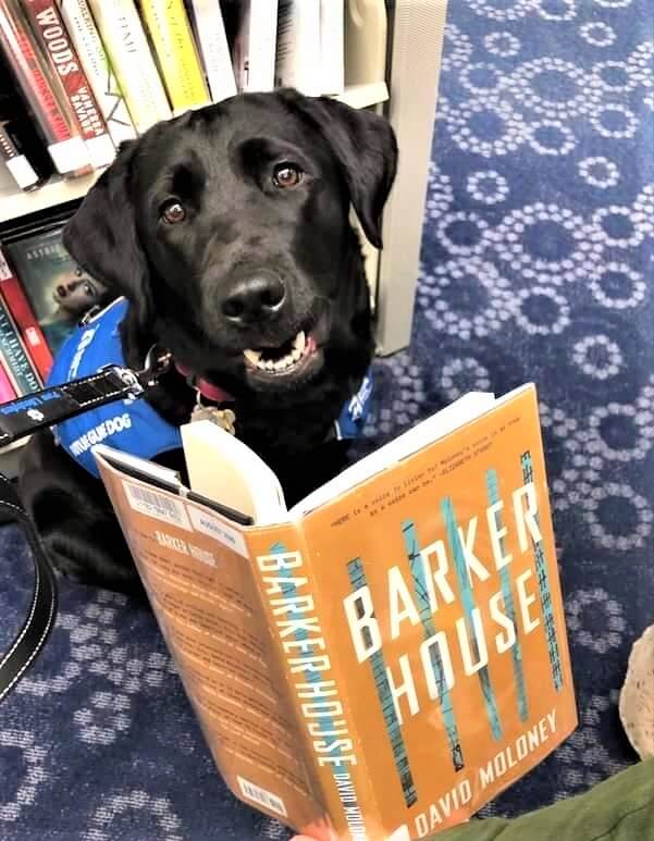 Toby finds a great book at the library titled Barker House