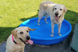 Nita and retired guide Phil play in kiddie pool