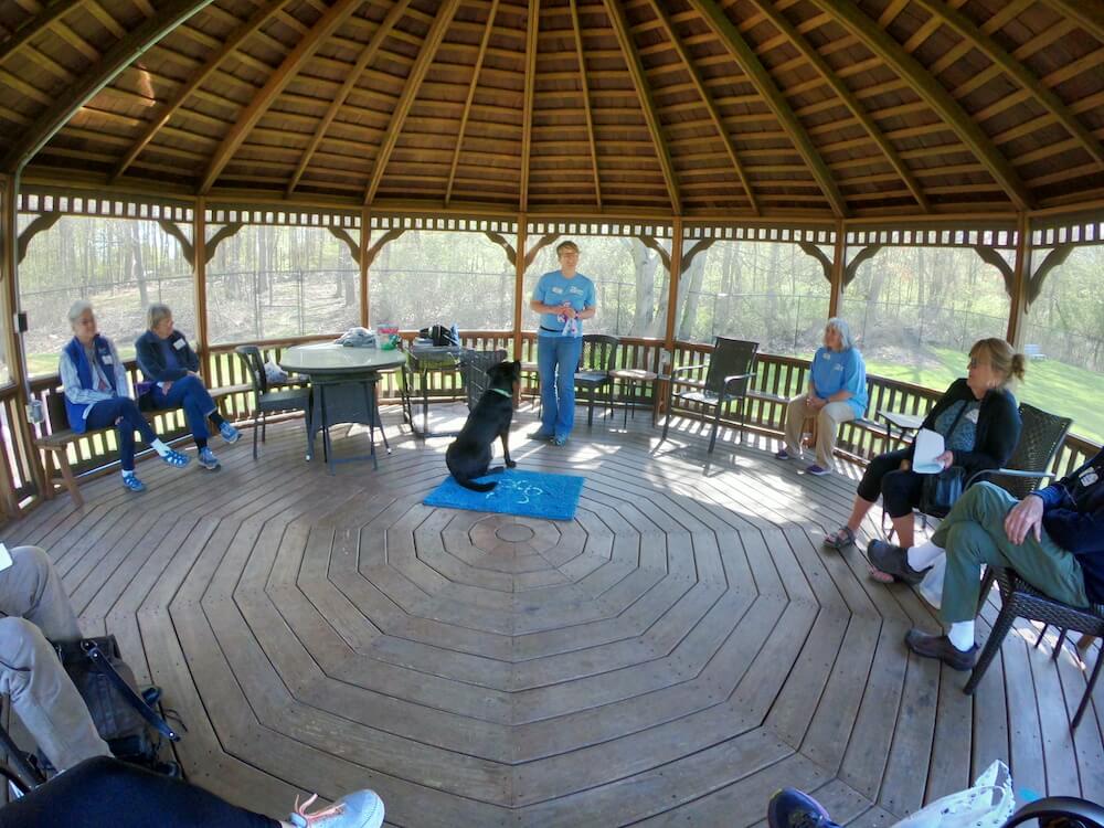 a demonstration in the Gazebo