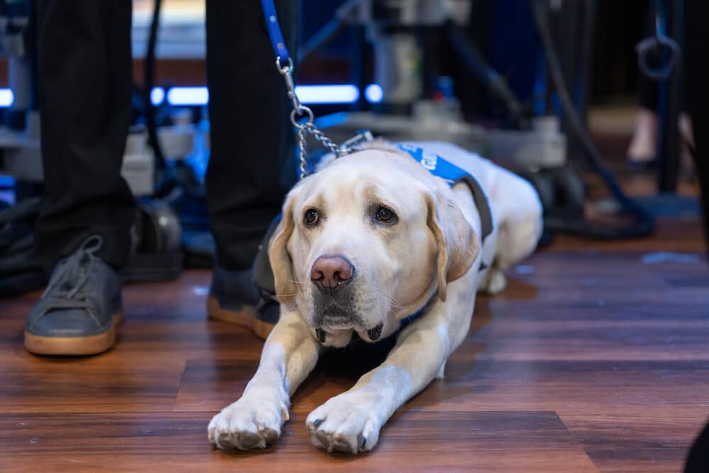 Blaze stretches out at Nasdaq (Photography courtesy of Nasdaq, Inc)