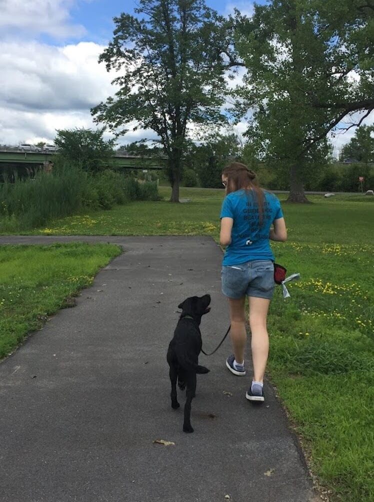 Emmylou walks obediently in a rural setting with a puppy raiser