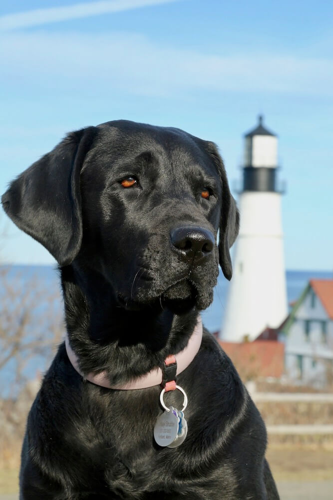 a stately head shot of Eva against blue sky, ocean and a lighthouse