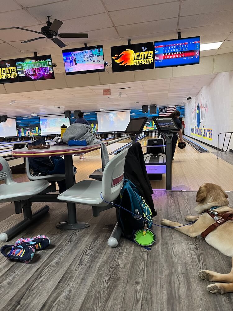 Yellow Lab guide dog Uber calmly lies on the floor of a bowling alley as handler Jessica is throwing ball down alley