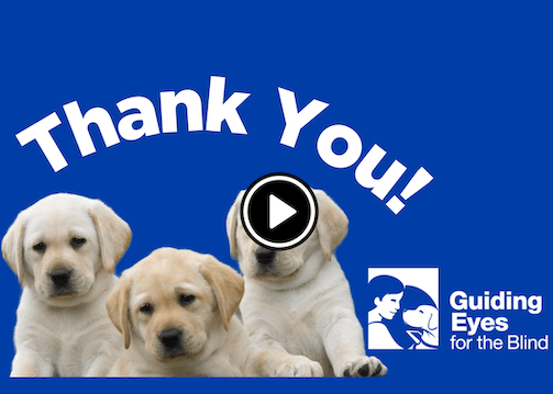 thank you with Guiding Eyes logo and 3 yellow puppies