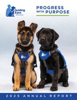 Progress with Purpose - 2025 Annual Report - Future Guide Dogs Quartz, a female Black & Tan German Shepherd, and Santo, a male black Labrador Retriever, model their new Guiding Eyes puppy vests against a light blue background.