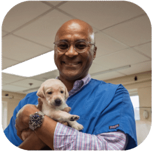 CEO Chris Perry wears blue scrubs over his shirt and smiles, holding tiny yellow puppy Layla in his arms as she stretches out her front paws