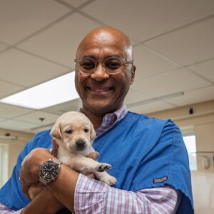 CEO Chris Perry wears blue scrubs over his shirt and smiles, holding tiny yellow puppy Layla in his arms as she stretches out her front paws