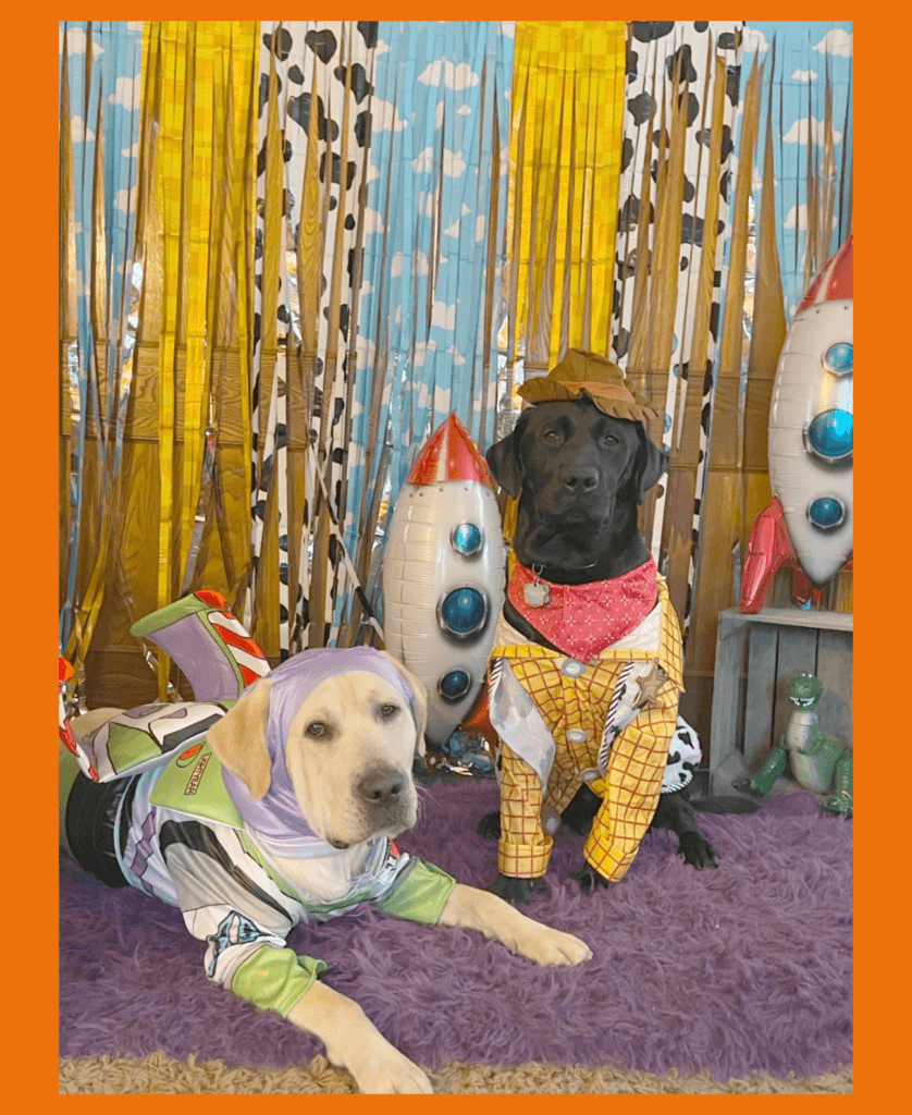 Male yellow lab Doc and male black lab Sarge are posed in front of a tasseled backdrop featuring a blue sky and white clouds pattern, a yellow checkerboard pattern, and a cow print pattern. Doc wears a Buzz Lightyear costume and Sarge wears a Woody costume. Accents include balloon rocket ships and the toy dinosaur from the movie, Toy Story.