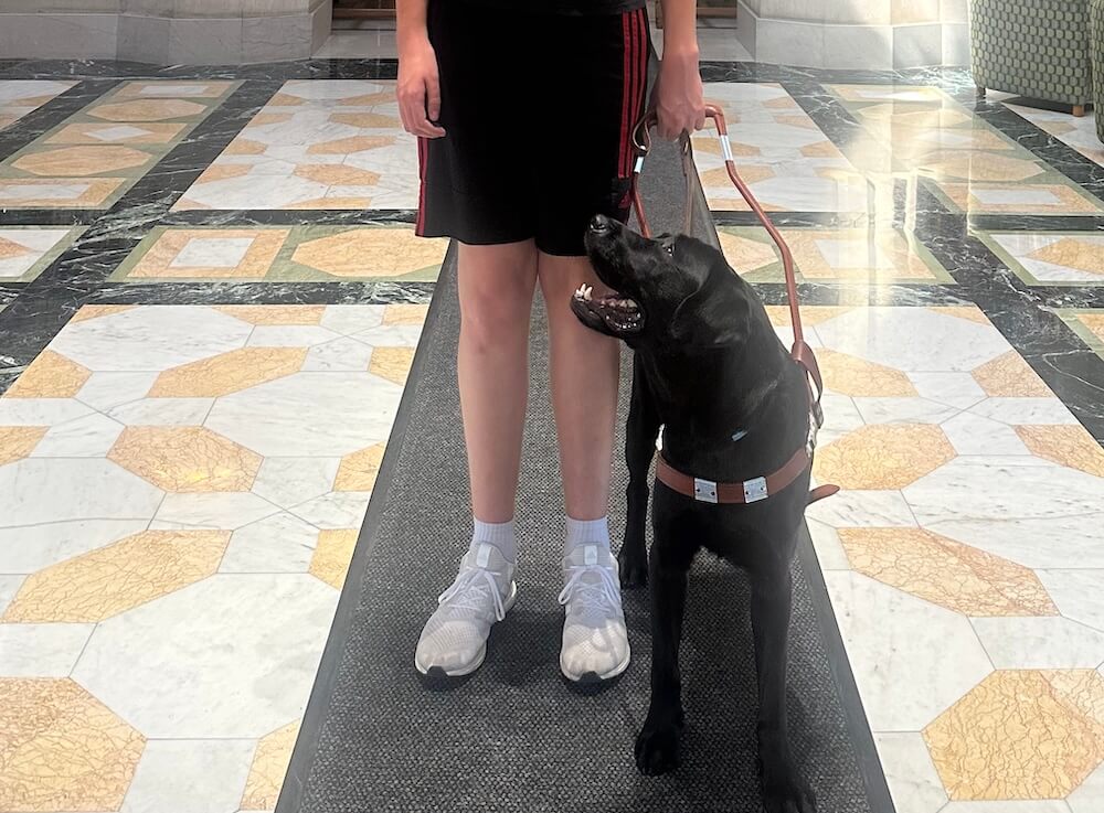 Finnegan looks over his shoulder with a happy expression towards his handler