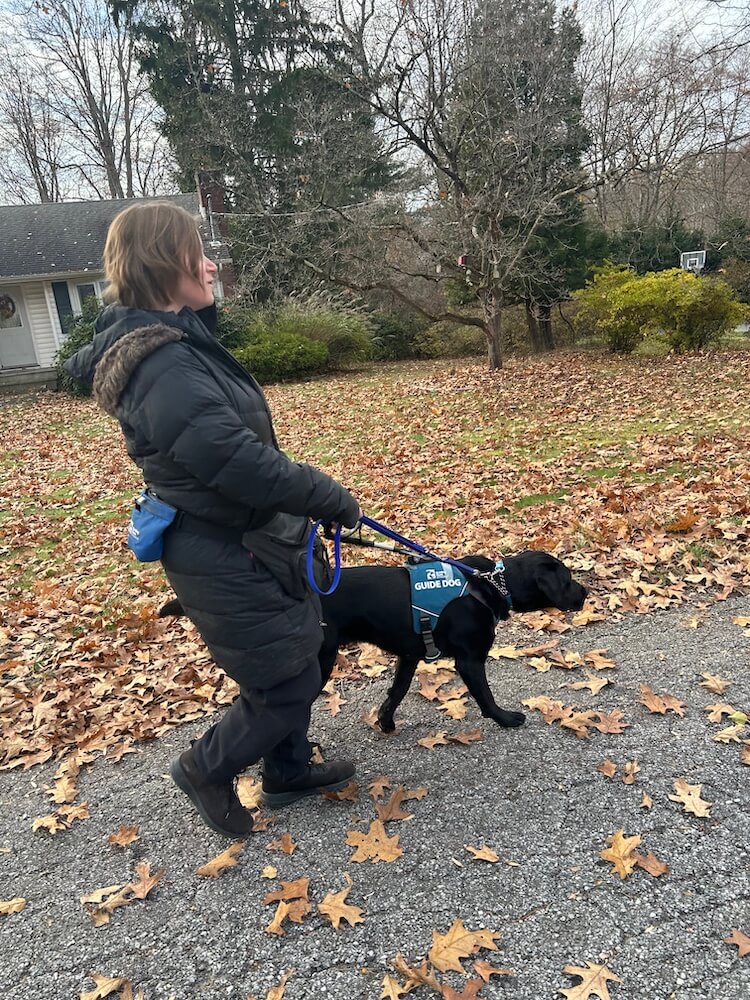 Black Lab guide dog Kona leads Kira safely along a residential street with fallen leaves and no sidewalk