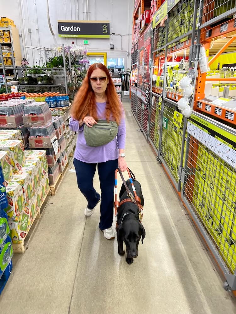 Jojo waits attentively with Mary Ann, where the garden display meets the parking lot with moving cars