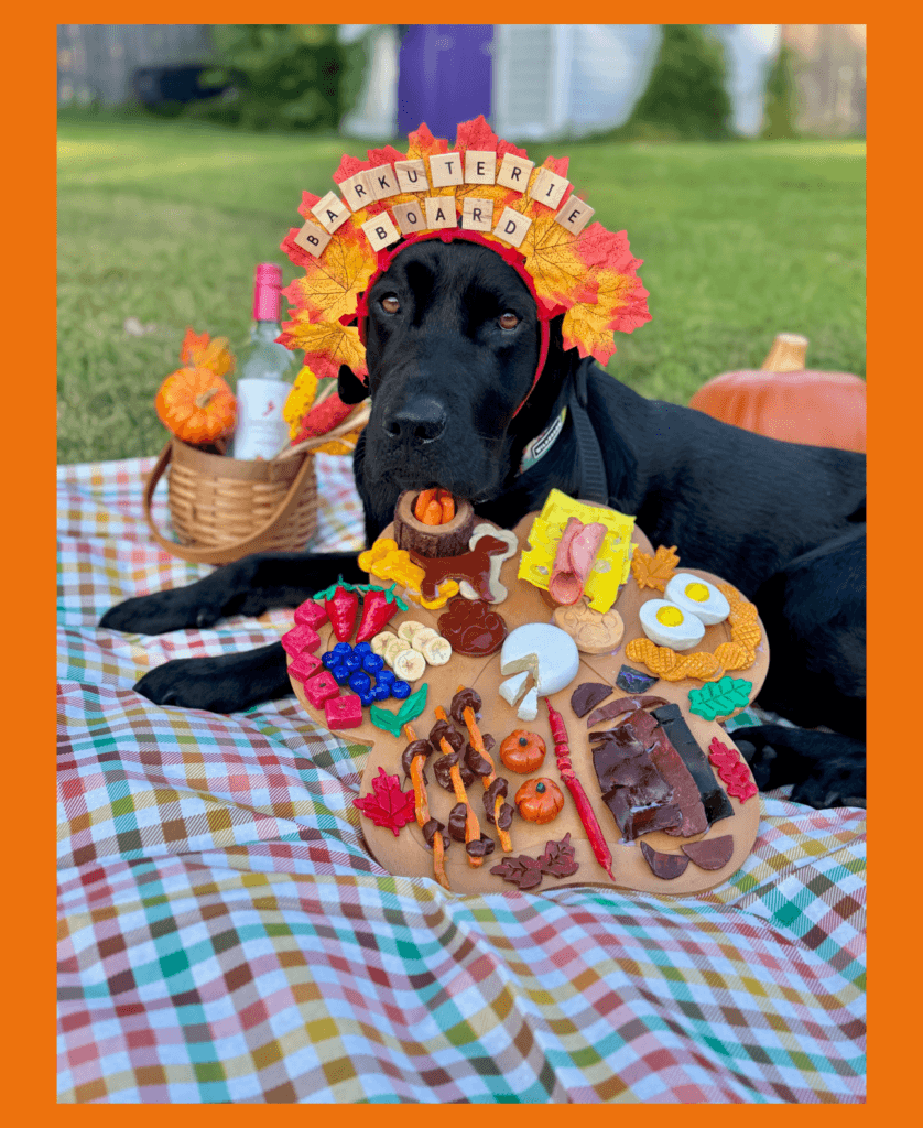 Male black lab Potter lays in a down on a picnic blanket and wears a headband made out of leaves and scrabble letters. The headband reads “Barkuterie board” and there is a paw print shaped board with handmade clay food on it including fruits, veggies, eggs, cheese, and crackers.