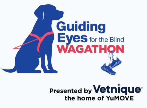 Guiding Eyes WAGATHON logo above text Presented by Vetnique the home of YuMove