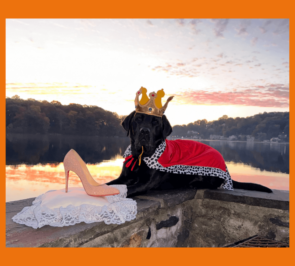 Male black lab Prince lays on a rock wall overlooking a lake and wears a crown and a red cape as if he is the prince. Beside him is a white pillow with a sparkly white high heel.