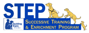 STEP logo with three dark yellow labs climbing a dark blue platform to the word S T E P in large blue letters on top. Within the blue platform is deep yellow text Successive Training & Enrichment Program. The Guiding Eyes logo is nestled in its bottom left corner.