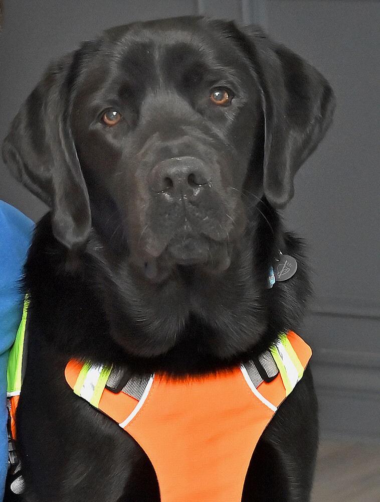 Bruno and black Lab guide dog Joey pose for team portrait