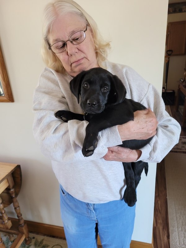 black lab puppy is cuddled by raiser Eileen
