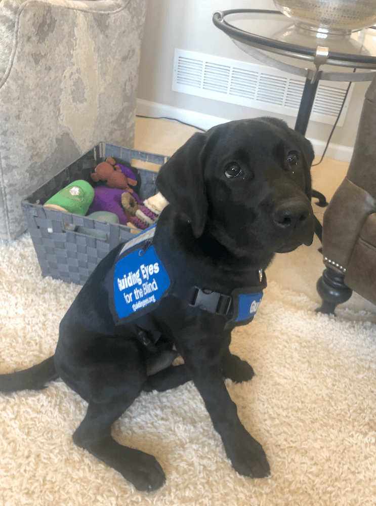 Young Noad sits in Puppy jacket