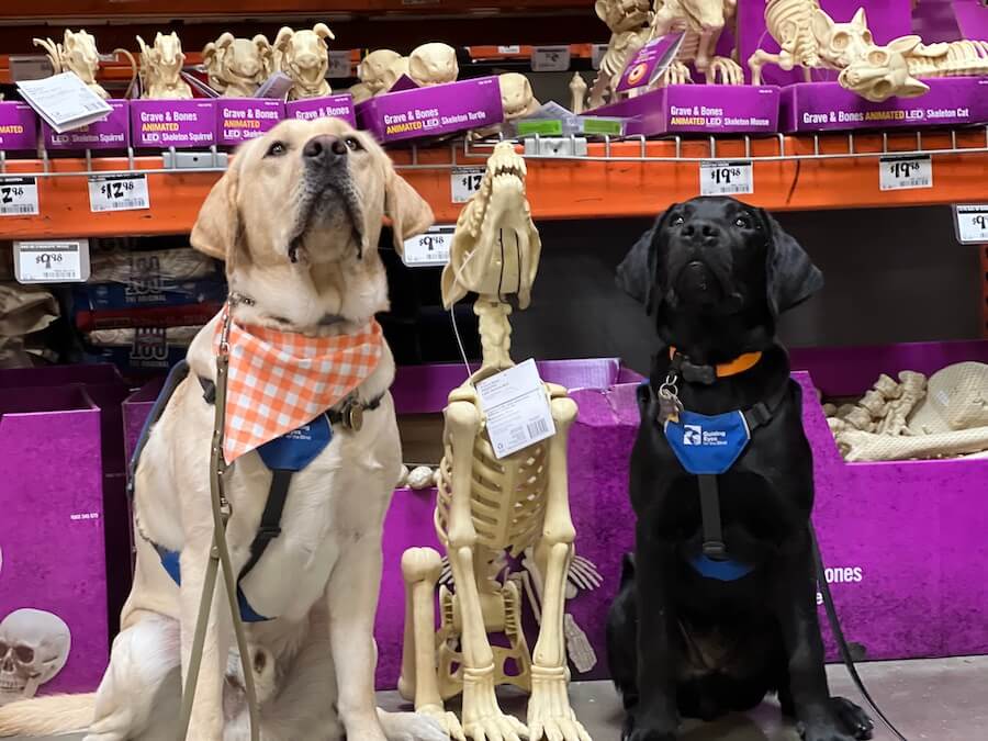 Kenneth and GEB friend in a Halloween "bones" display