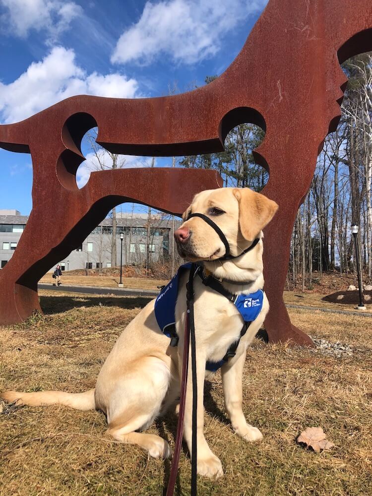 Hawaii in pup jacket in front of large brown dog statue with a cut out of a bone inside it