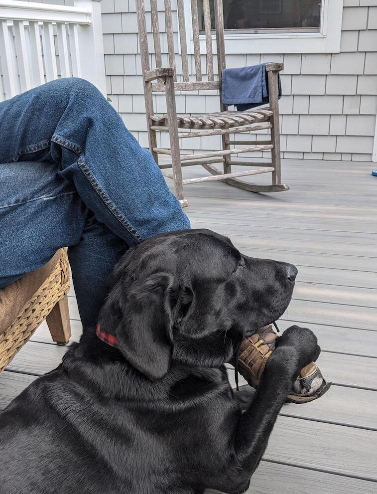 Pup Francis enjoys the porch with a paw on someone's foot