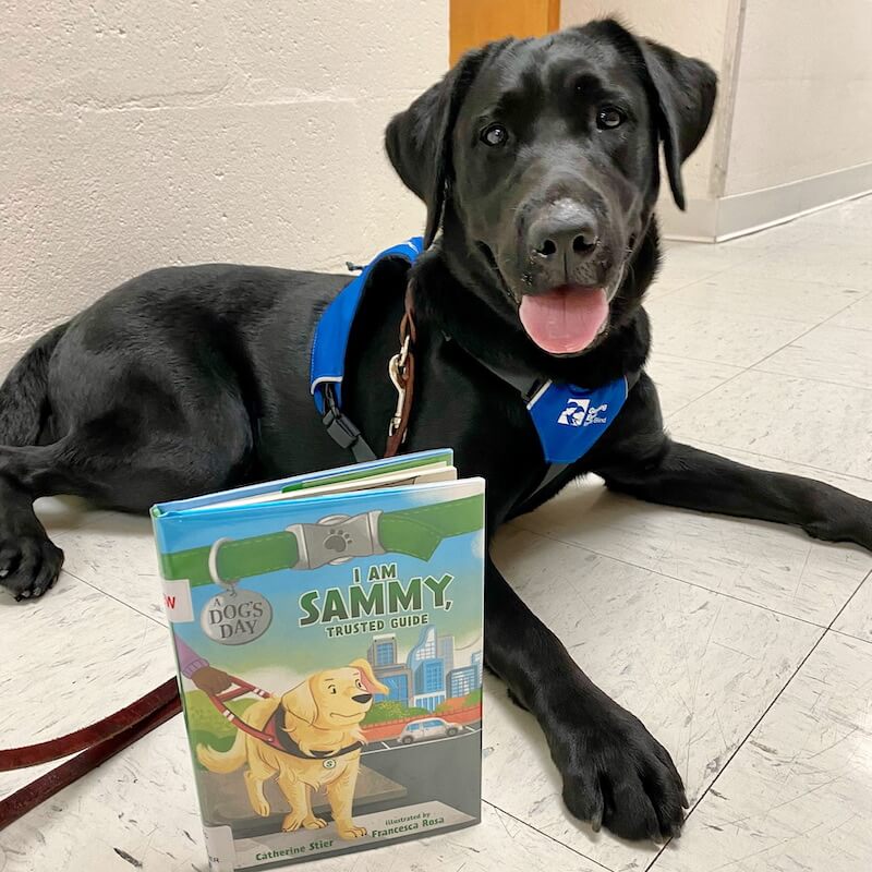 Pup on program Wilder in a down with a guide dog storybook in front of her
