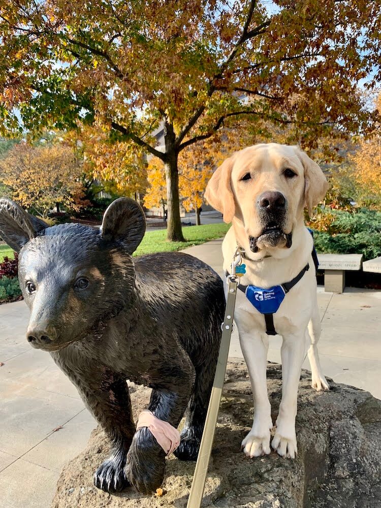 Pup Yacht poses beside a dark statue of a bear?