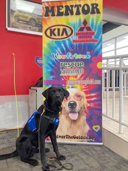 Chris in Future Guide dog jacket poses in front of car dealership standing sign showing a golden retriever