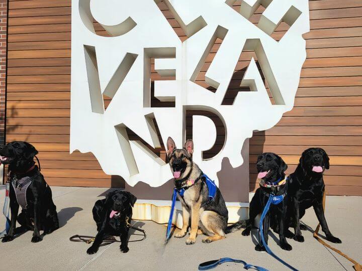 Chris sits with 4 other Guiding Eyes pups on program to his left in front of a large sign of cut out letters saying Cleveland