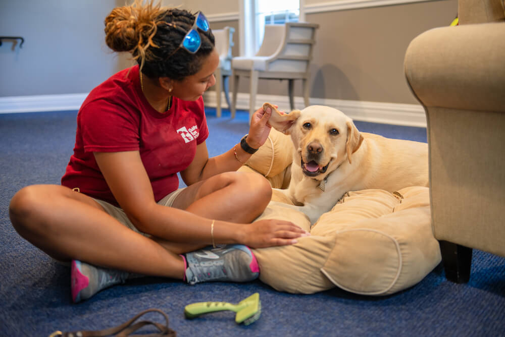 staff providing love and massage indoors