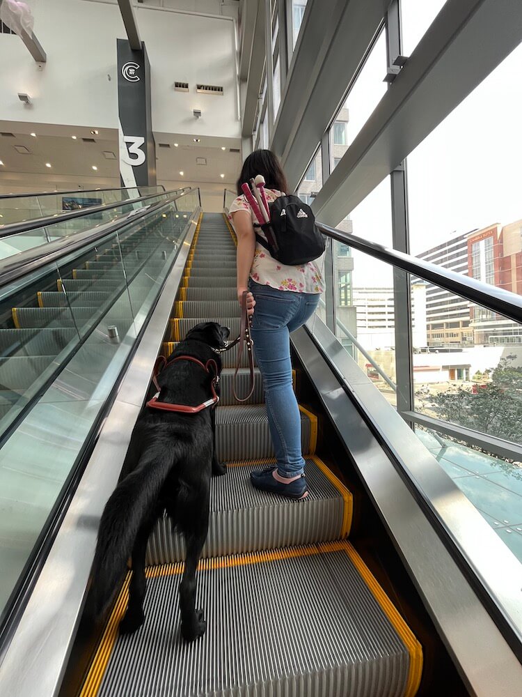 Florie watches Phuong as they ascend the escalator