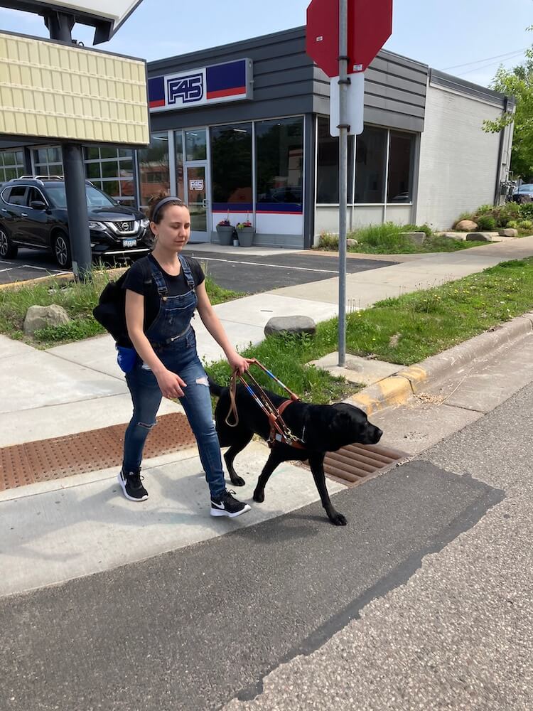 Black Lab Chris leads Rachel safely off the sloping curb and past a storm drain to cross the street