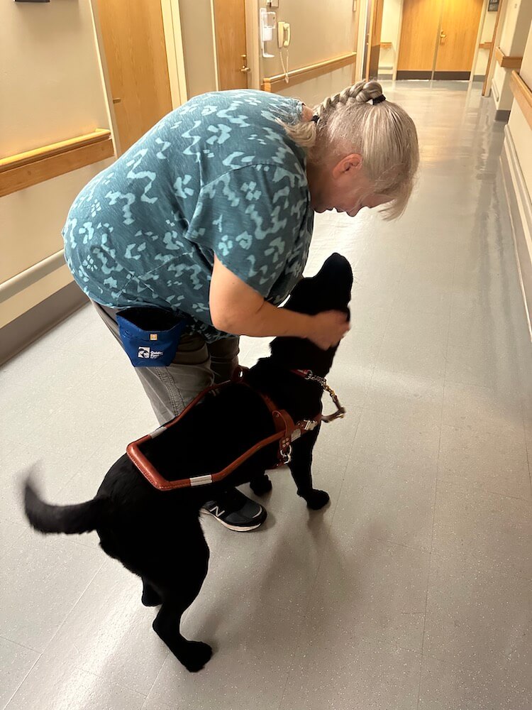 Tracy bends forward to praise black lab guide Alice