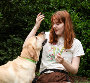Raiser Aileen kneels in grass with hand up giving a cue to released yellow Lab Paisley