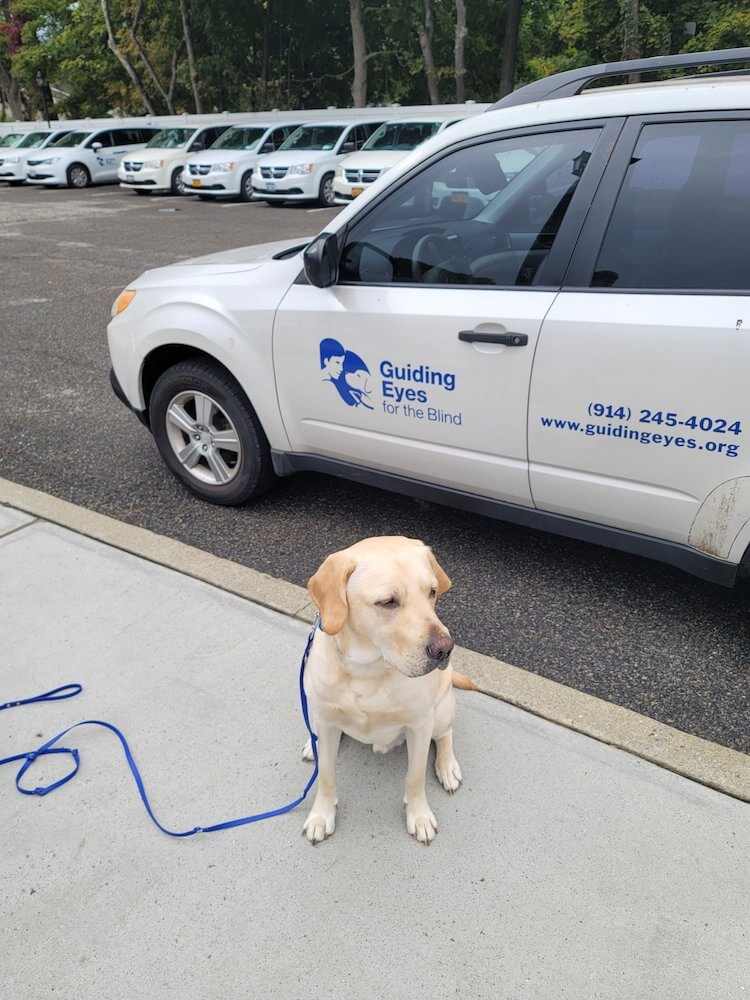 The logo on a GEB van shows behind Oliver in Training school lot