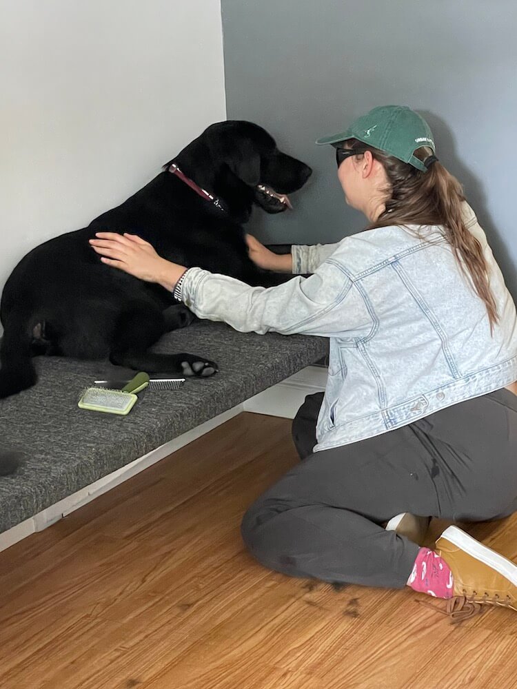 Miranda tends to Grover at the grooming bench