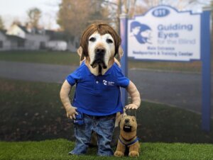 Yellow lab Pearl in brown wig standing in jeans and blue GEB polo holding stuffed GS in harness with campus & sign in background