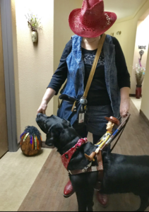 Grad Linda wears red cowboy hat and denim with black Lab guide dog Pruitt in harness in red bandana ridden by Toy Story cowboy Woody
