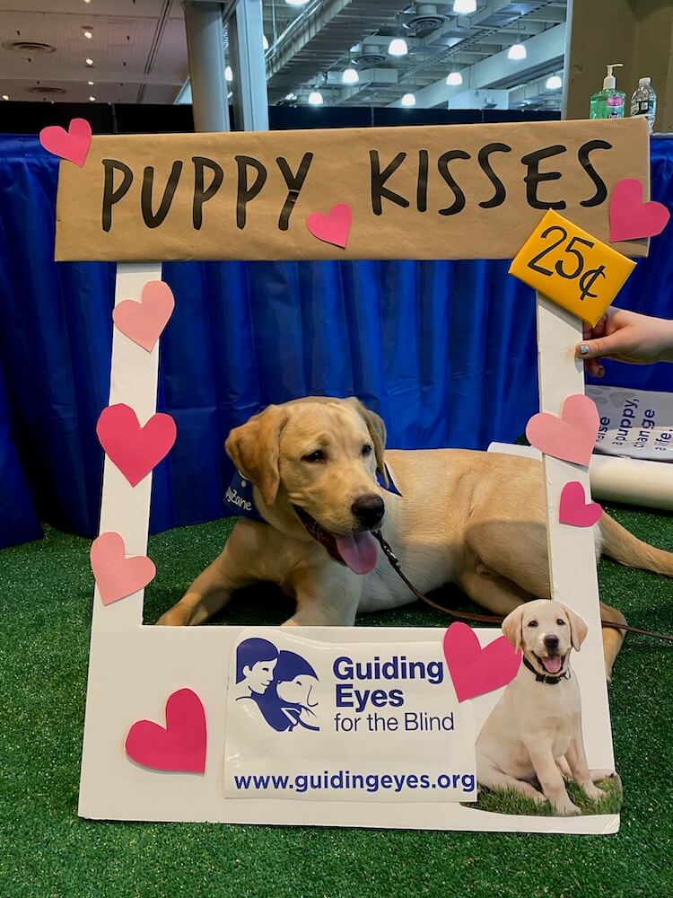 pup Zane offers 25 cent kisses in the GEB booth