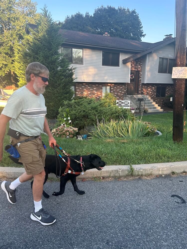 Dan leads Teddy quickly around the curved residential street