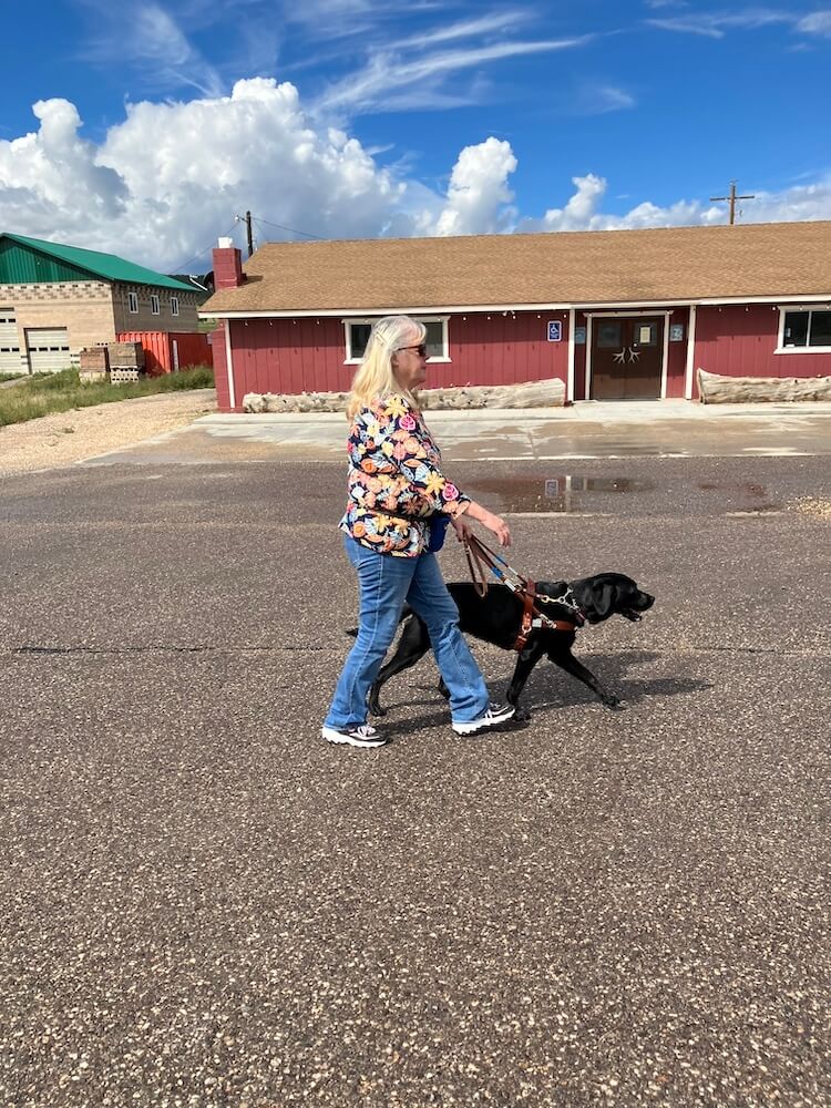 Guide dog Kaya walks with handler during home training