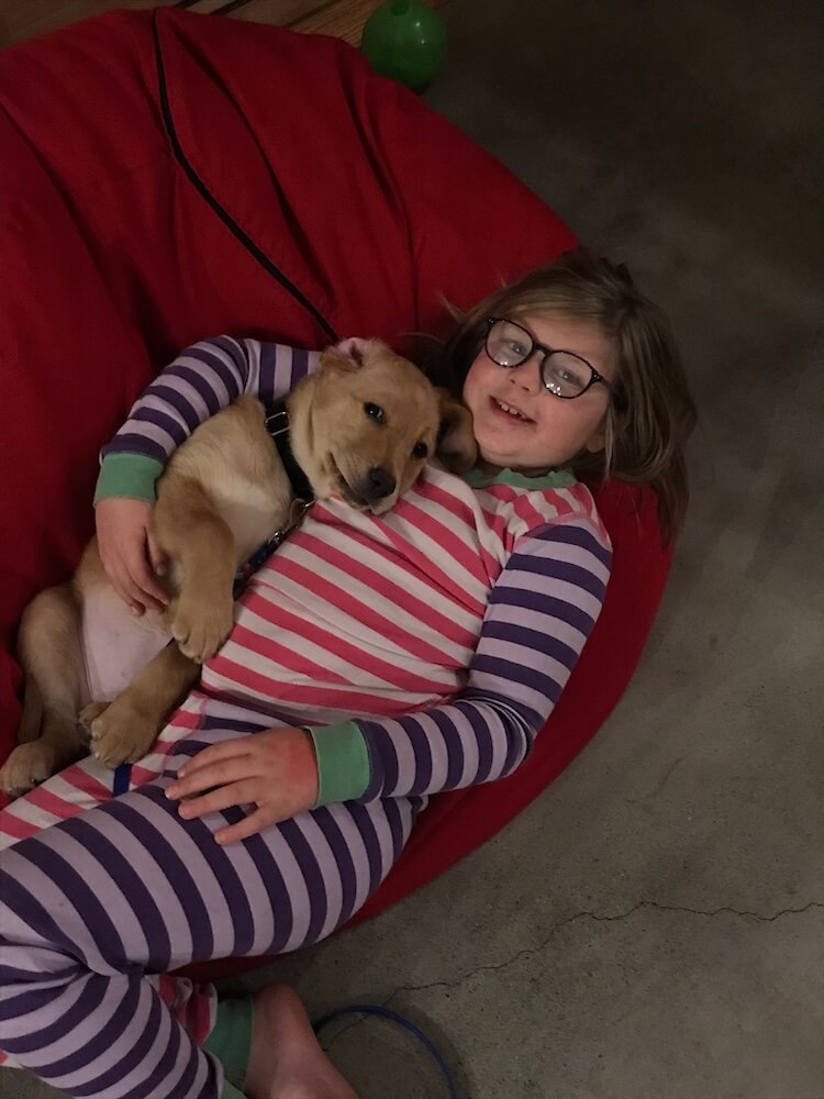 little yellow puppy Zephyr cuddles in a beanbag with happy child in pajamas
