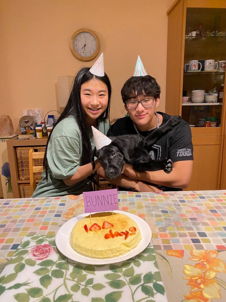 black puppy Bunnie celebrates 100 days with raiser kids and dessert