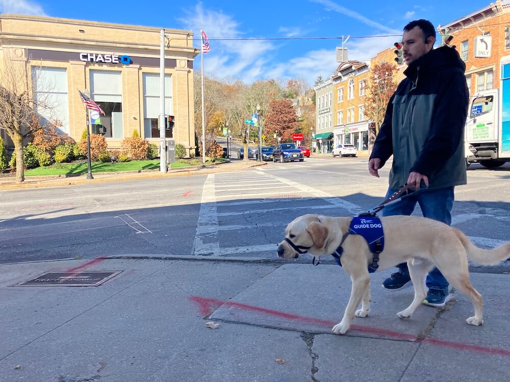 Brayan and Macro in blue Guide Dog harness walk on uneven sidewalk