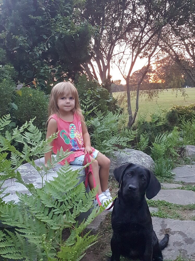 Pup on Program black lab Emerson sits on path with small girl sitting on stone wall