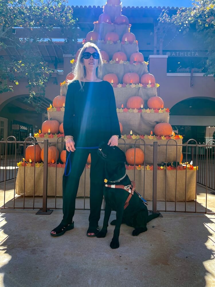 Wella sits looking up at handler Shari in front of a burlap tower of pumpkins