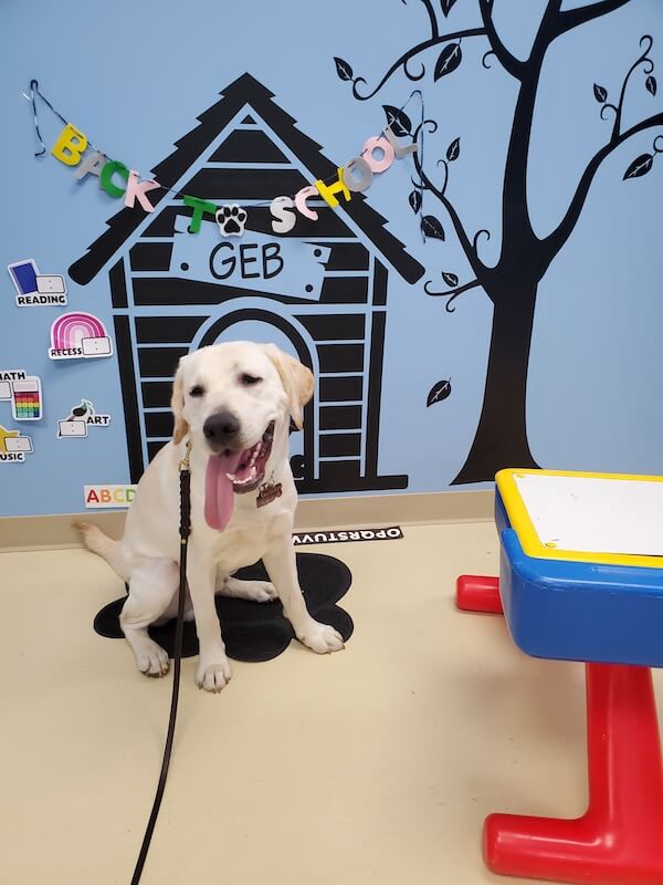 In front of a graphic of a "GEB" schoolhouse pup Norris is ready for back to school